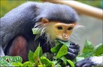 Zoo Chleby