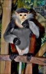 Zoo Chleby