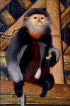 Zoo Chleby