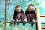 Zoo Chleby