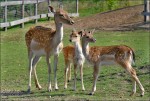 Zoo Chleby