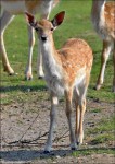Zoo Chleby
