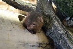 Zoo Chleby