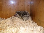 Zoo Chleby