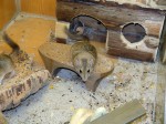 Zoo Chleby