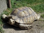Zoo Chleby