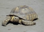 Zoo Chleby