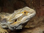 Zoo Chleby