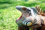 Zoo Chleby