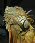 Zoo Chleby