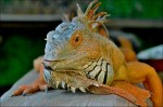 Zoo Chleby