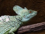 Zoo Chleby