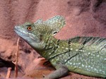 Zoo Chleby