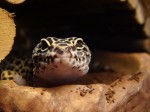 Zoo Chleby