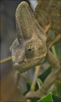 Zoo Chleby
