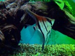 Zoo Chleby
