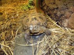 Zoo Chleby