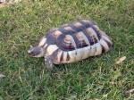 Zoo Chleby