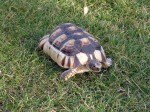 Zoo Chleby