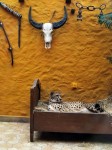 Zoo Chleby