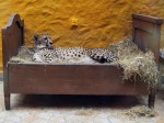 Zoo Chleby