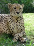 Zoo Chleby