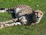 Zoo Chleby