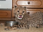 Zoo Chleby