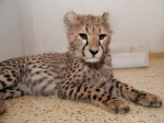 Zoo Chleby