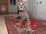 Zoo Chleby