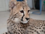 Zoo Chleby