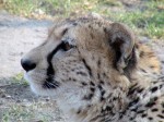 Zoo Chleby
