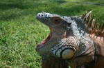 Zoo Chleby