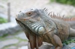 Zoo Chleby