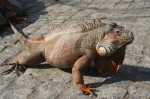 Zoo Chleby