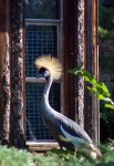 Zoo Chleby