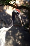 Zoo Chleby