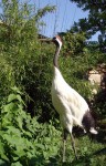 Zoo Chleby