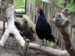 Zoo Chleby