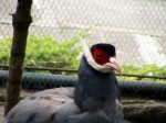 Zoo Chleby