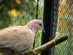 Zoo Chleby