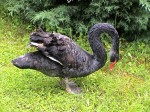 Zoo Chleby