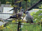 Zoo Chleby