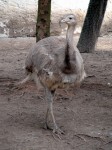 Zoo Chleby
