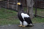 Zoo Chleby