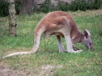 Zoo Chleby
