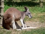 Zoo Chleby