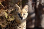 Zoo Chleby