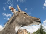Zoo Chleby