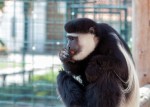 Zoo Chleby